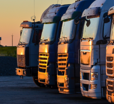 galeria imagem exemplo 1