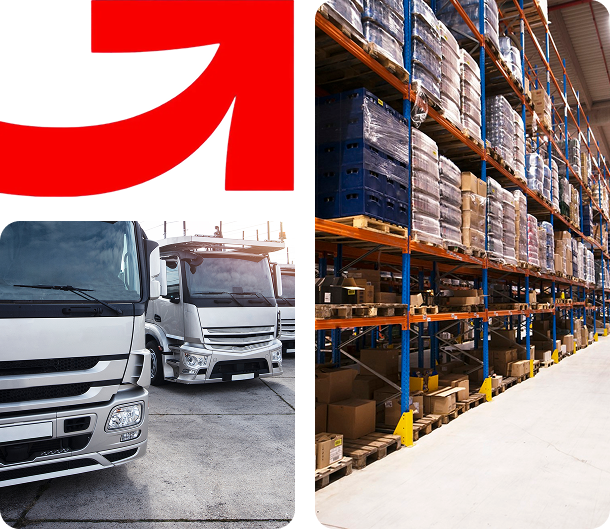 img quem somos lognos